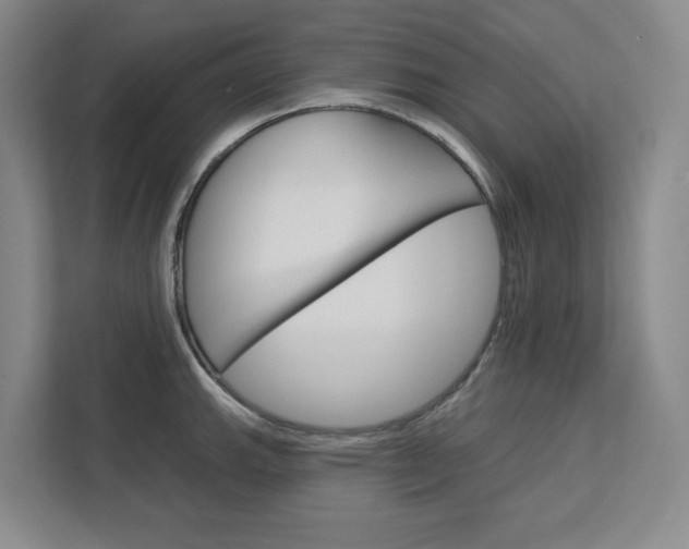 X0000113081143200908280942