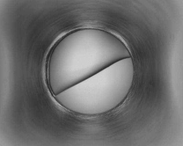 X0000113081147200908280942