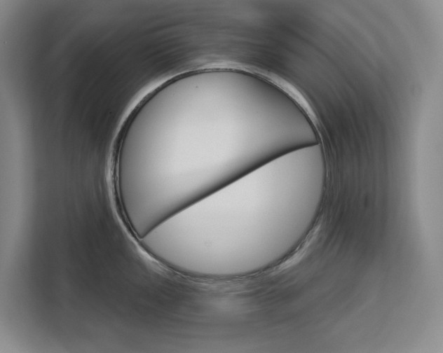 X0000113081149200908280942