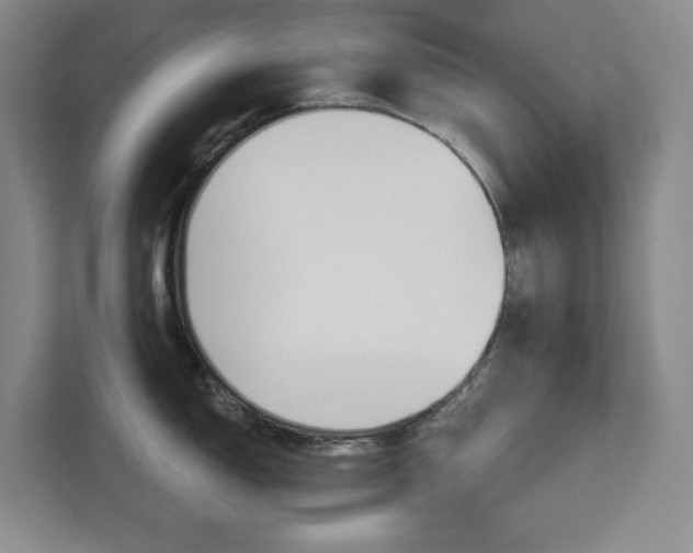 X0000113081150200908280942