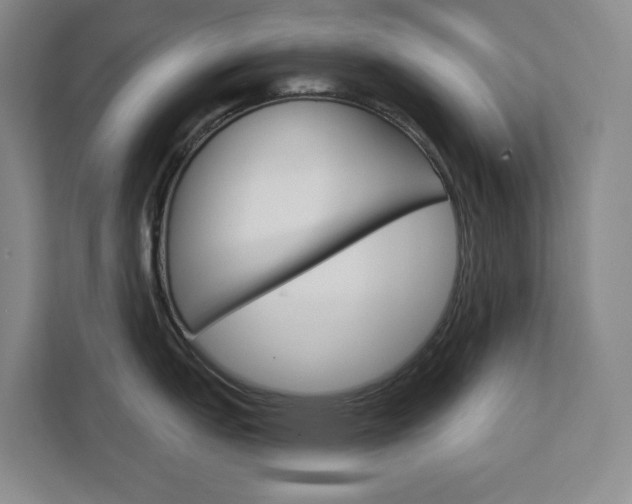 X0000113081151200908280942