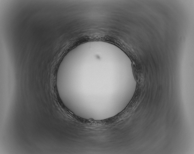 X0000113081153200908280941