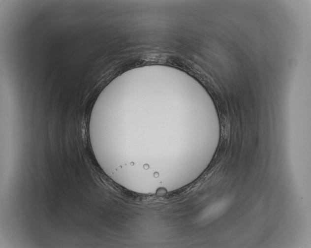 X0000113081154200908280941