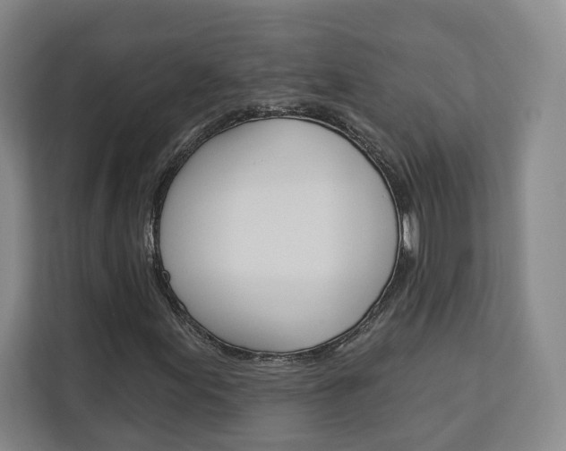 X0000113081155200908280941