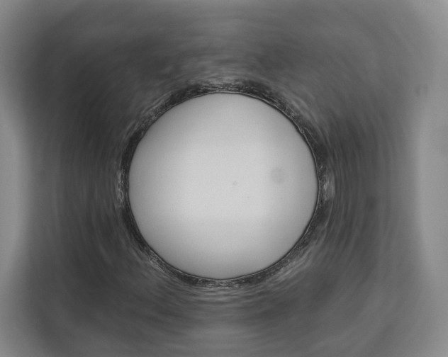 X0000113081156200908280941