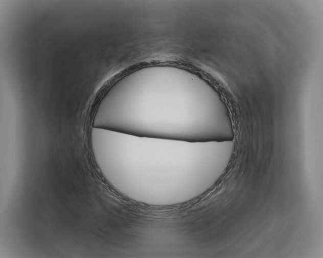 X0000113081160200908280941