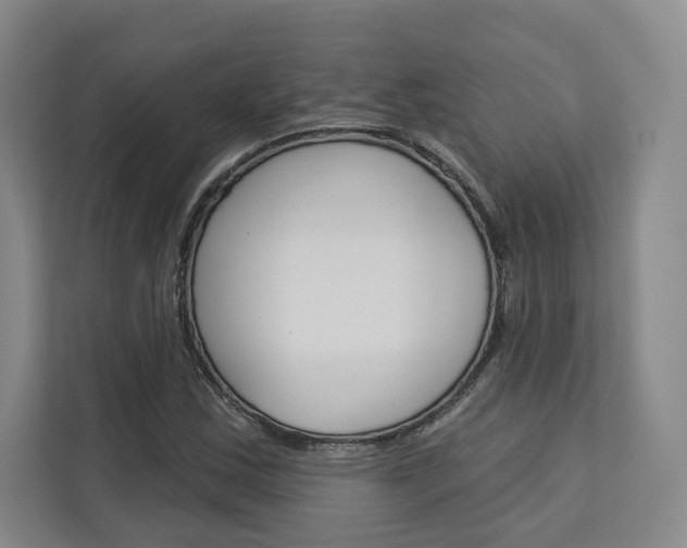 X0000113081163200908280941