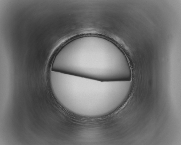 X0000113081167200908280941