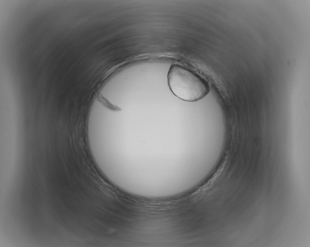 X0000113081169200908280941