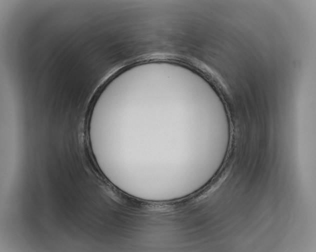 X0000113081170200908280941