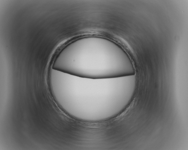 X0000113081172200908280941