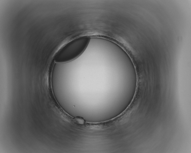 X0000113081173200908280941