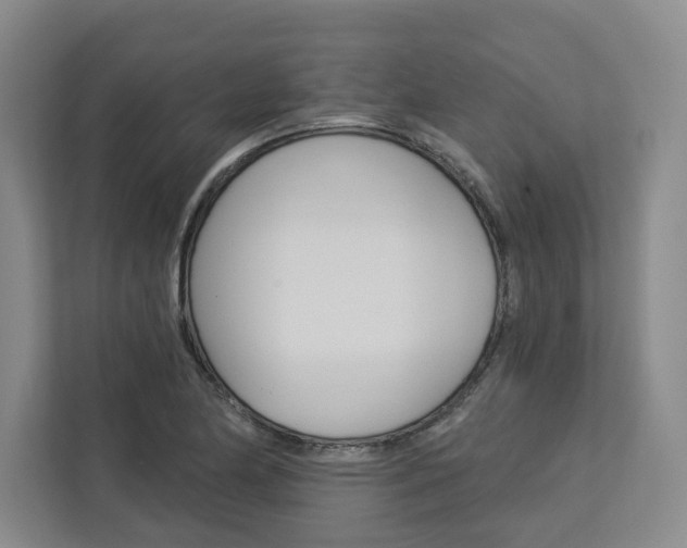X0000113081174200908280941