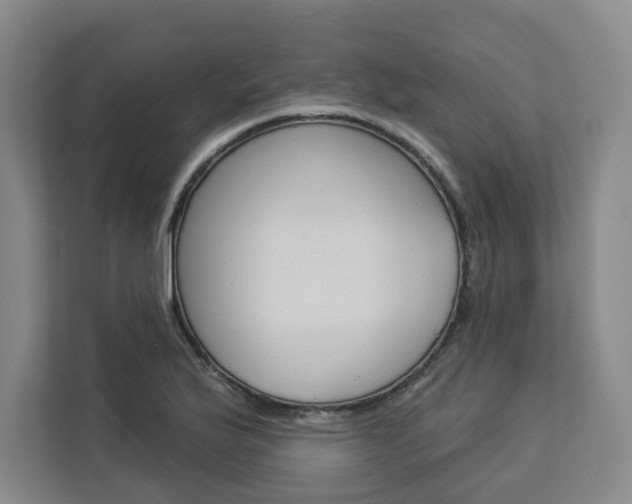 X0000113081175200908280941
