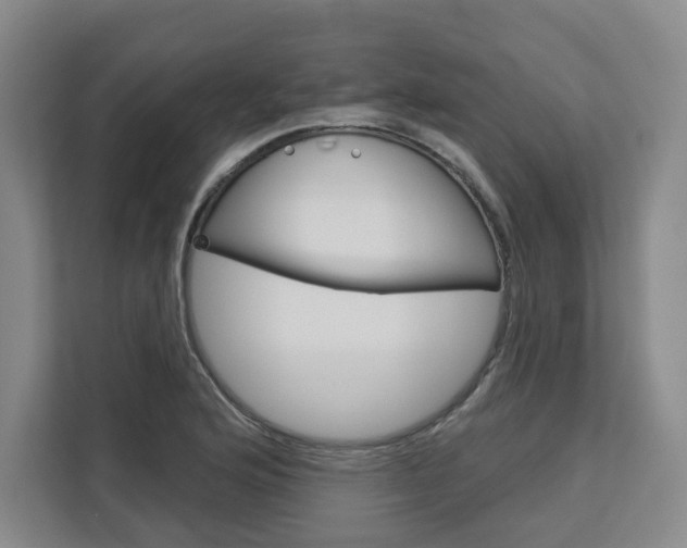 X0000113081176200908280941