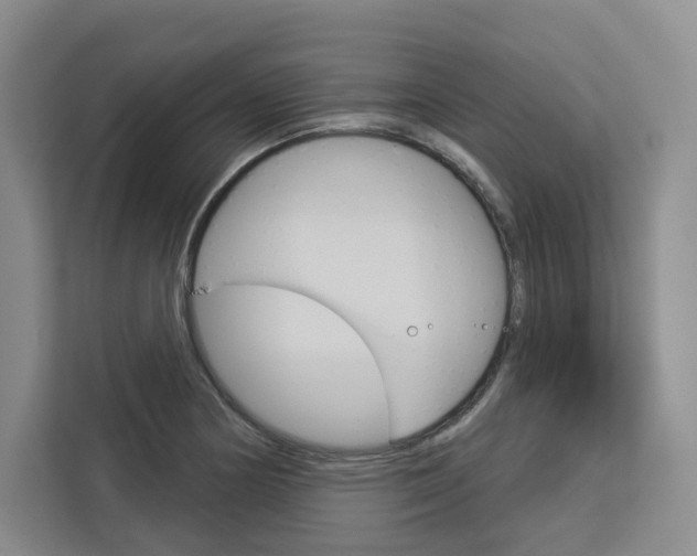 X0000113081178200908280941