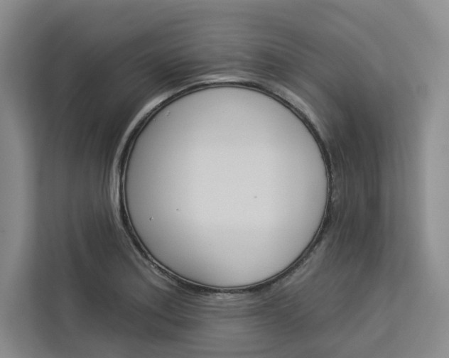 X0000113081179200908280941