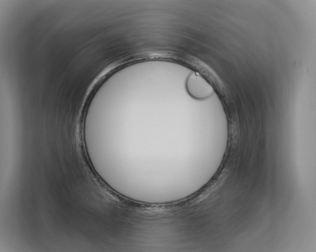 X0000113081182200908280941