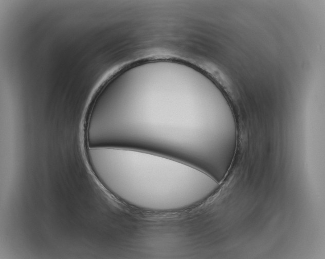 X0000113081183200908280941