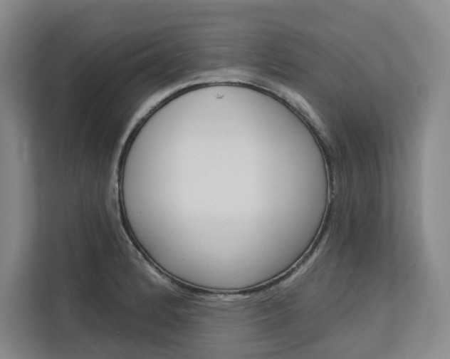 X0000113081184200908280941