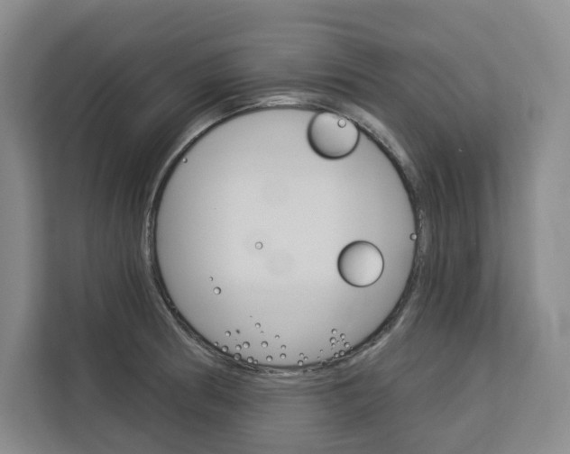 X0000113081186200908280941