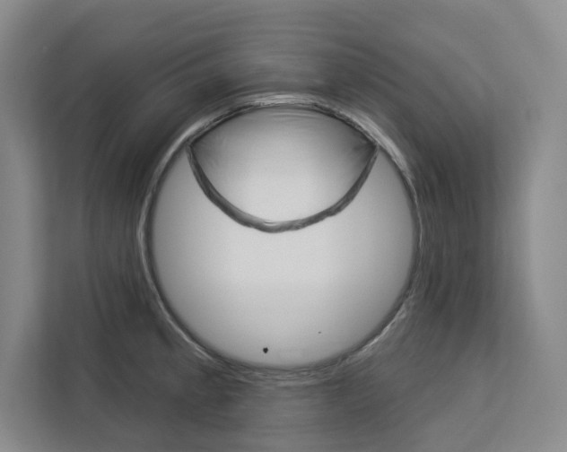 X0000113081189200908280941