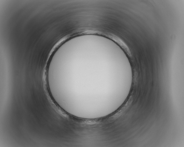 X0000113081190200908280941