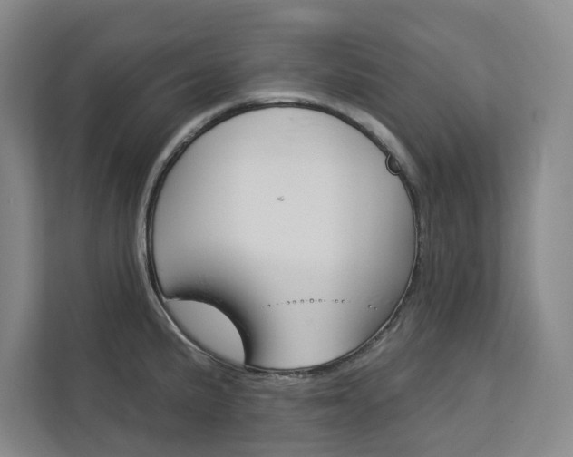 X0000113081191200908280941