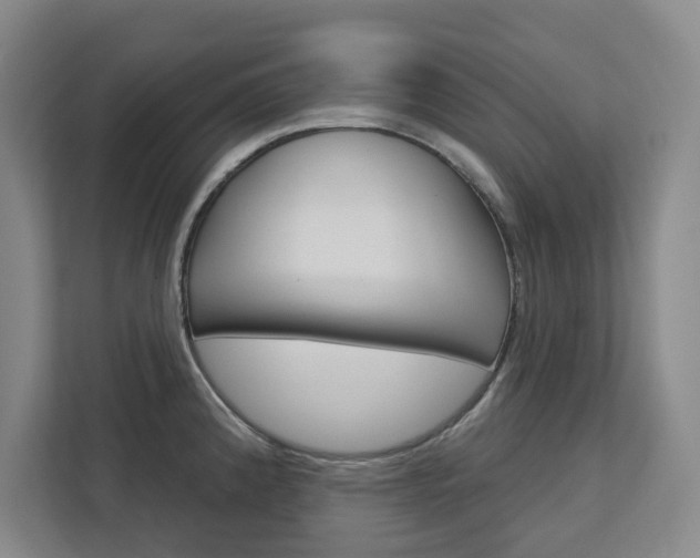X0000113081192200908280941
