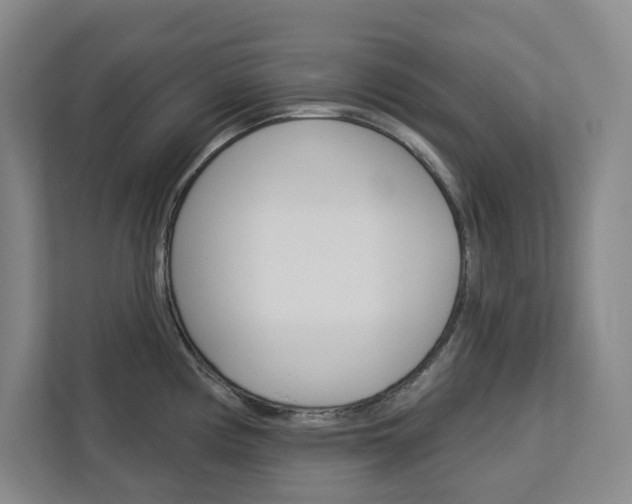 X0000113081194200908280941
