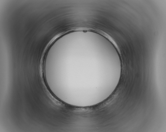 X0000113081195200908280941