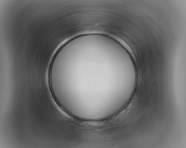 X0000113081197200908280941