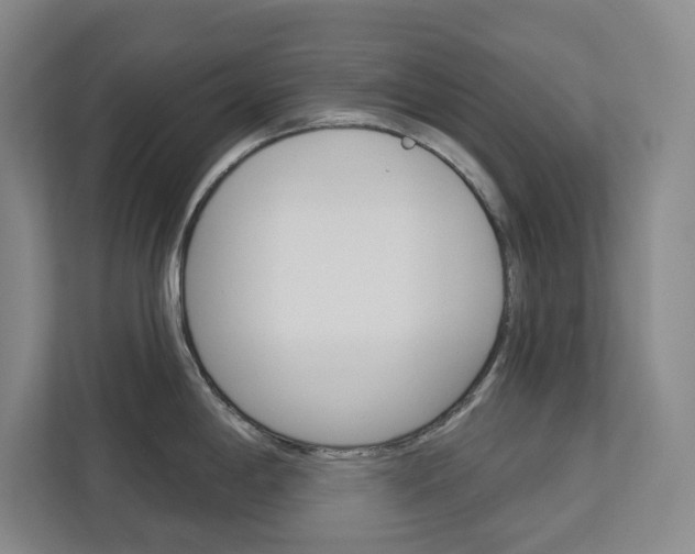 X0000113081198200908280941