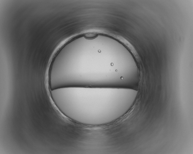 X0000113081199200908280941