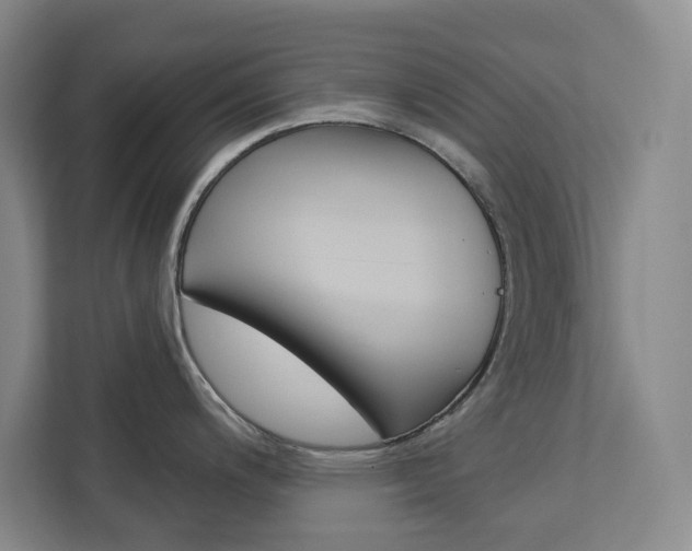 X0000113081200200908280941
