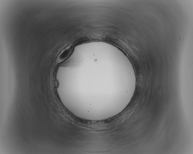 X0000113081201200908280940