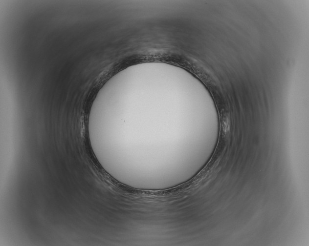 X0000113081204200908280940