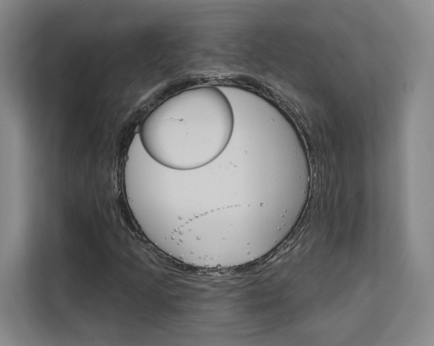 X0000113081205200908280940