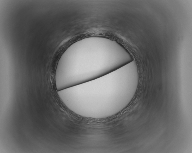 X0000113081206200908280940