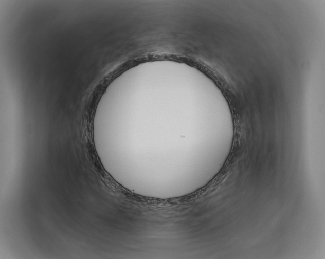 X0000113081207200908280940