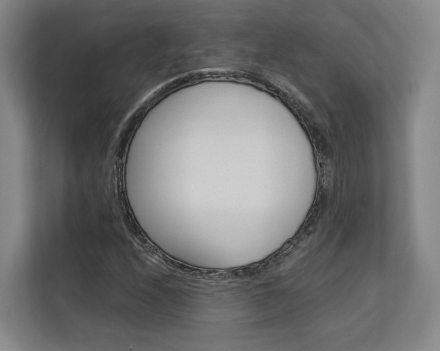 X0000113081208200908280940