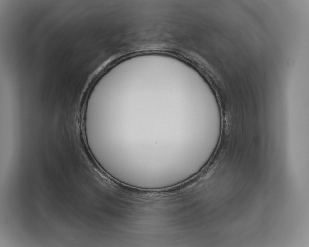 X0000113081212200908280940
