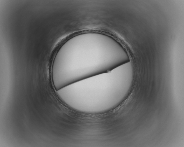 X0000113081214200908280940