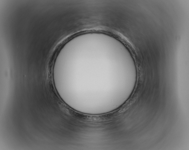 X0000113081215200908280940