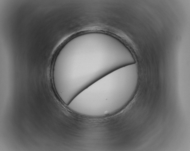 X0000113081216200908280940