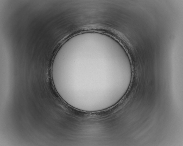 X0000113081217200908280940