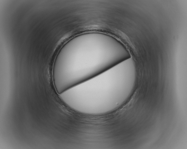 X0000113081218200908280940