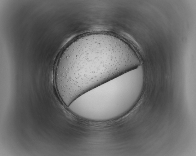 X0000113081220200908280940
