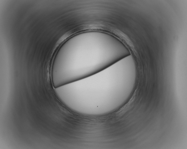 X0000113081226200908280940
