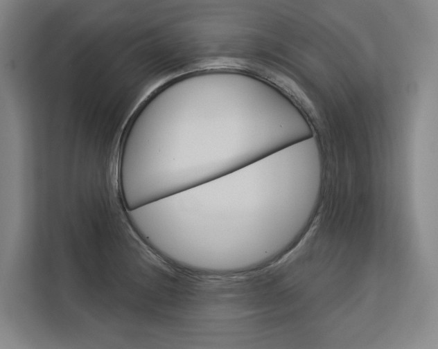 X0000113081228200908280940